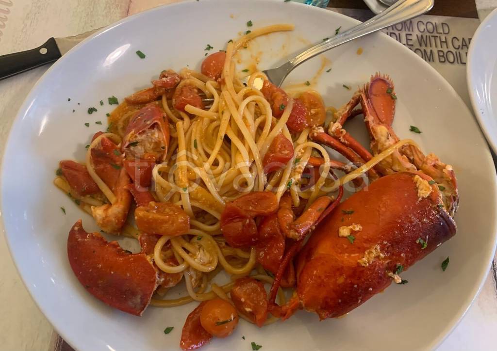 immagine annuncio 5 di 11