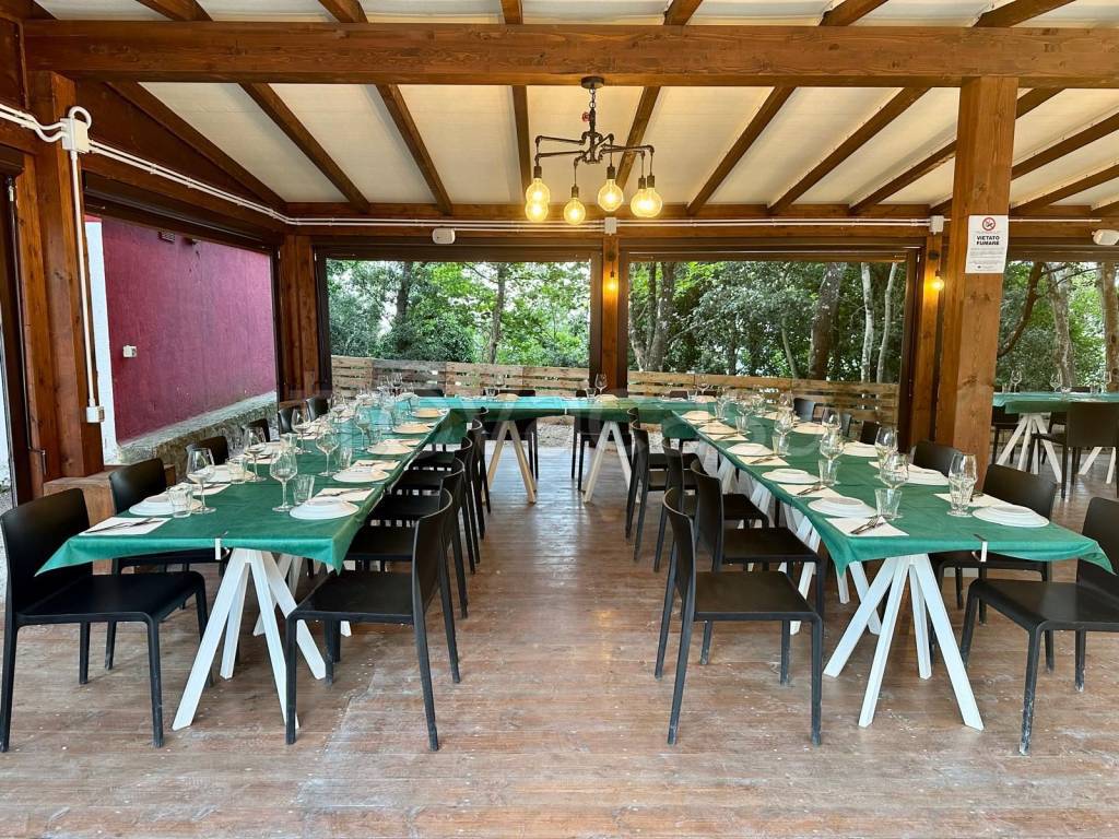 immagine annuncio 3 di 14