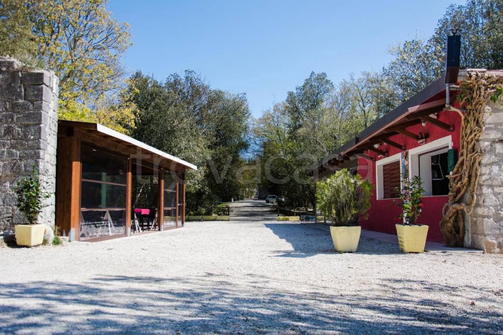 immagine annuncio 7 di 14