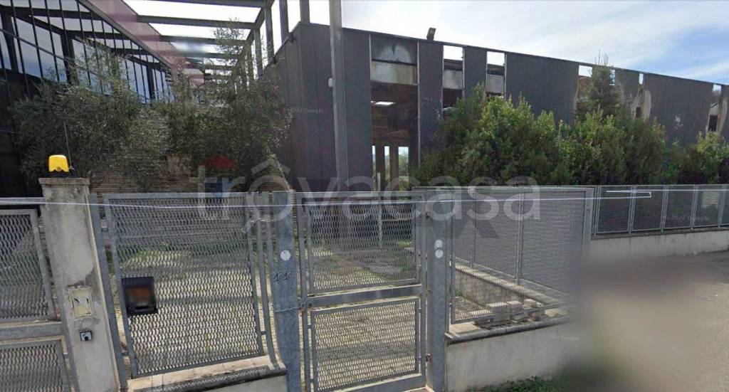 immagine annuncio 1 di 6