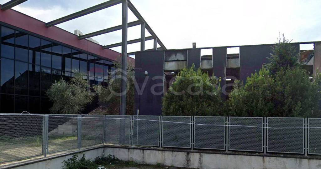 immagine annuncio 2 di 6