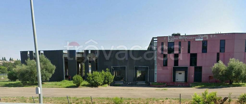 immagine annuncio 3 di 6