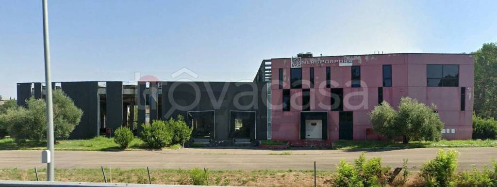 immagine annuncio 4 di 6