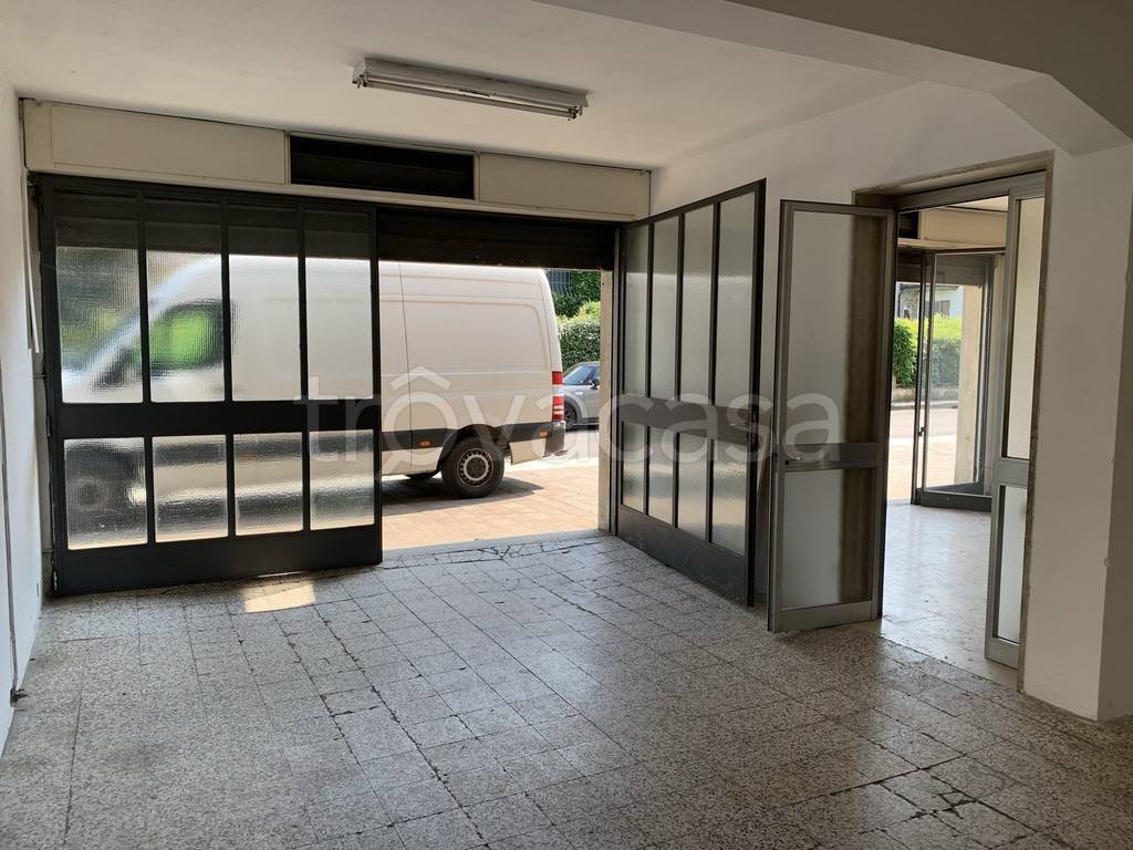 immagine annuncio 5 di 11