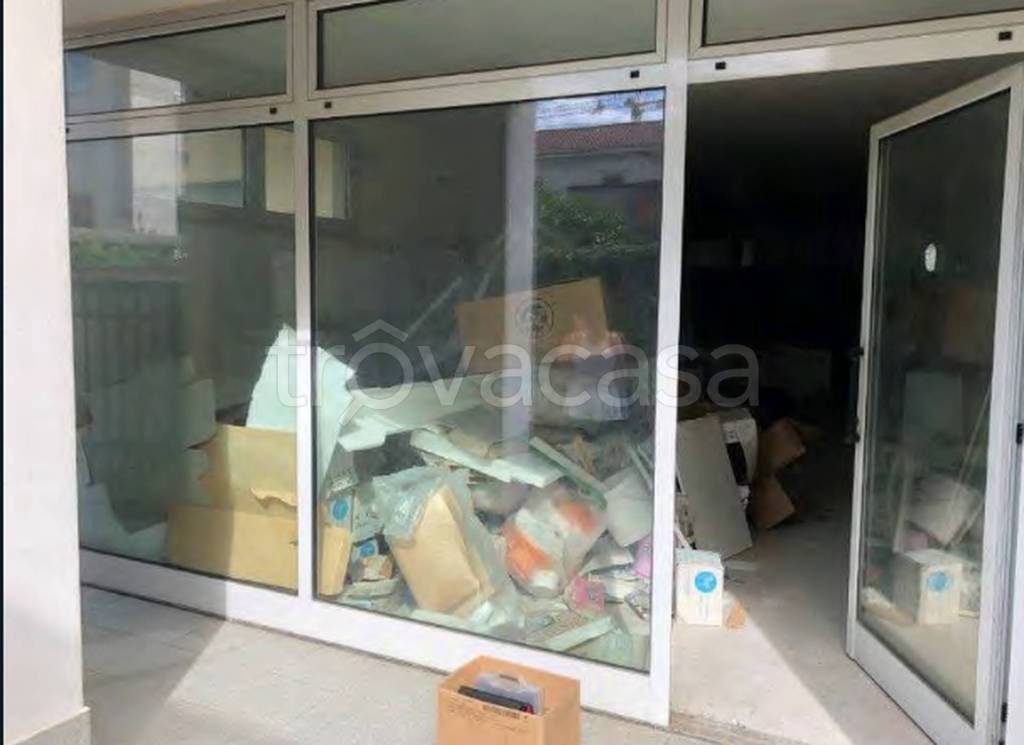 immagine annuncio 9 di 12