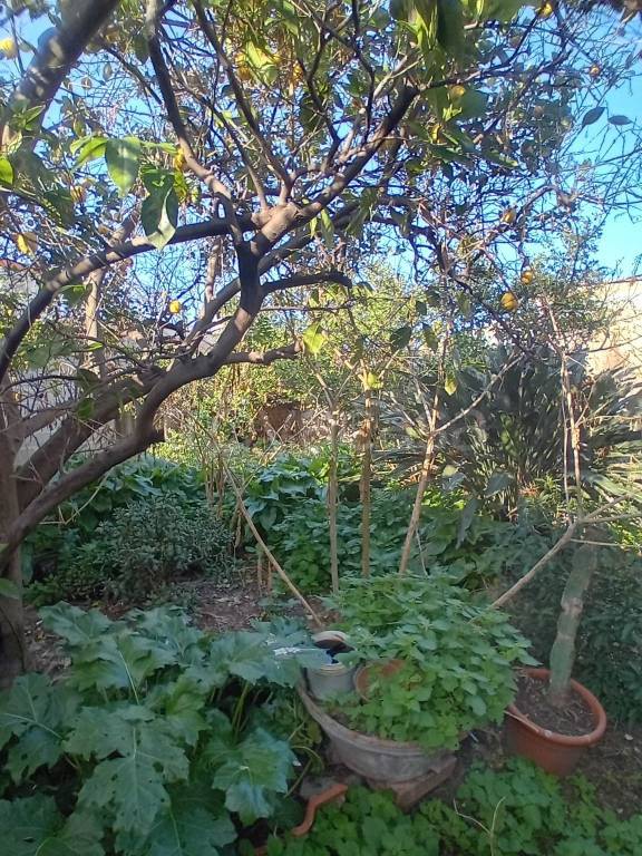 immagine annuncio 4 di 6