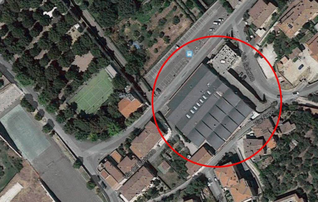 immagine annuncio 12 di 14