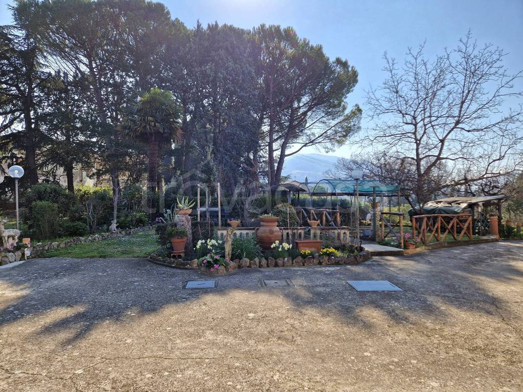 immagine annuncio 6 di 9