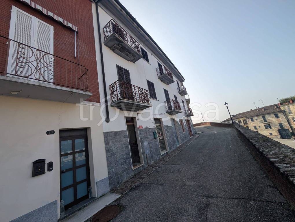 immagine annuncio 11 di 13