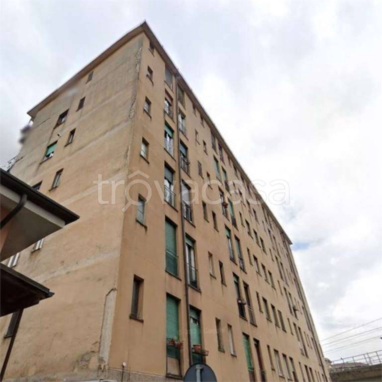 immagine annuncio 10 di 14