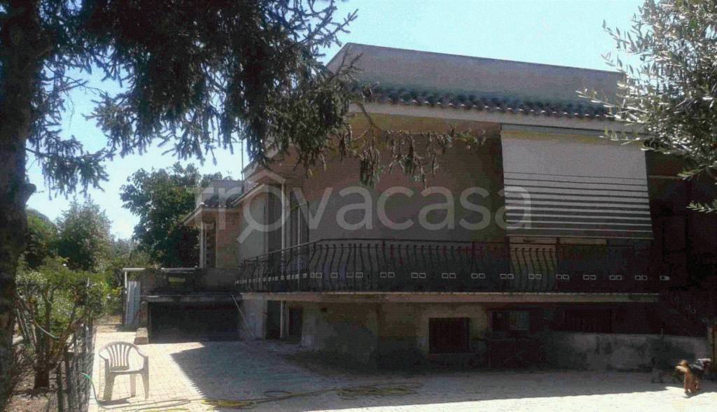 immagine annuncio 5 di 10