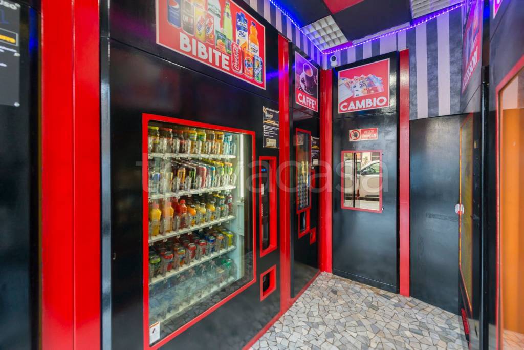 immagine annuncio 2 di 13