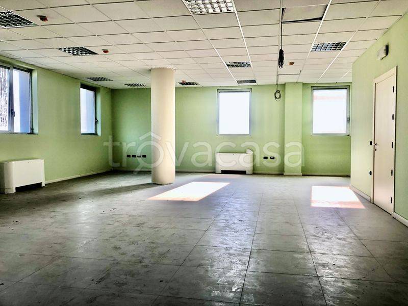 immagine annuncio 6 di 12