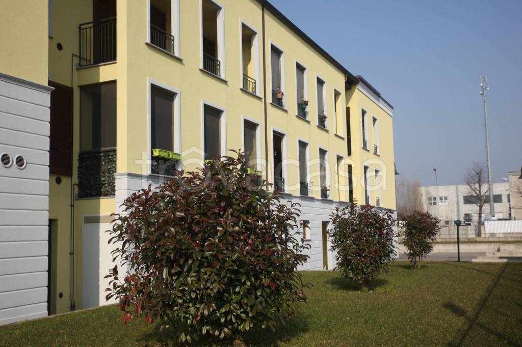 immagine annuncio 2 di 15