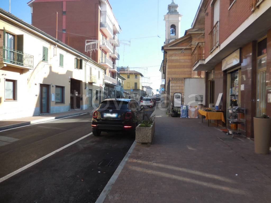 immagine annuncio 3 di 14
