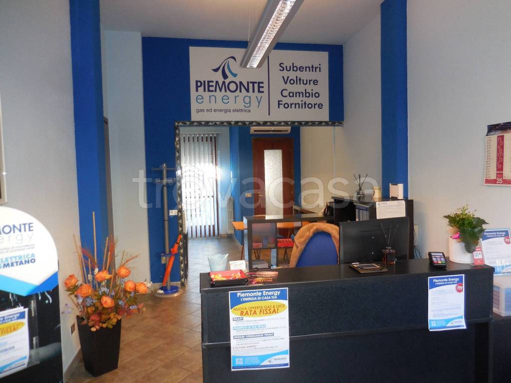immagine annuncio 9 di 14