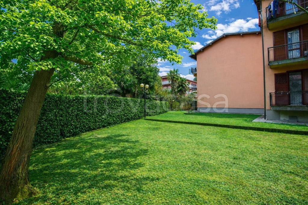 immagine annuncio 12 di 14