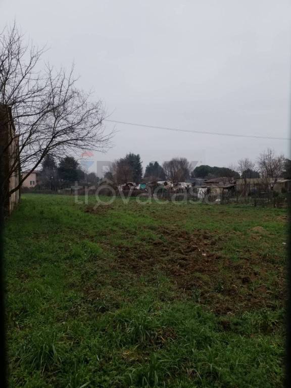 immagine annuncio 10 di 14