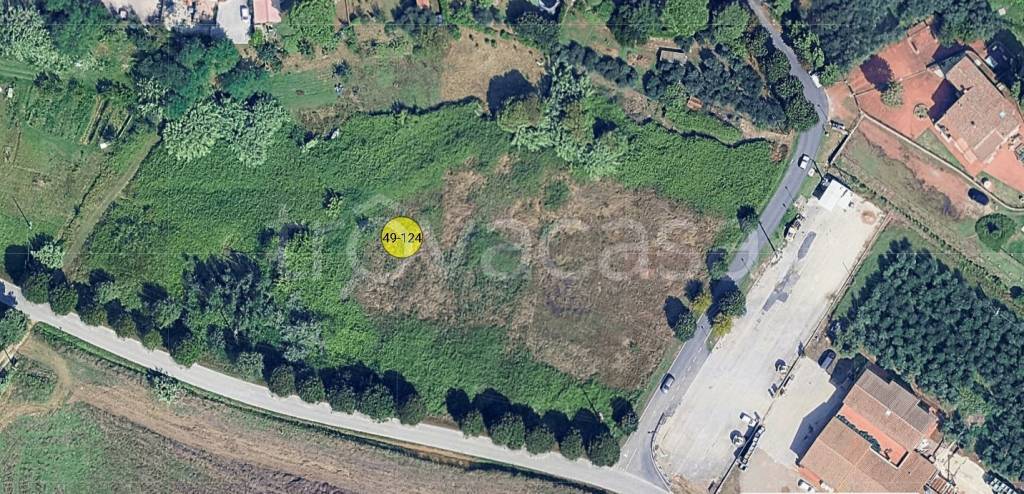 immagine annuncio 10 di 11