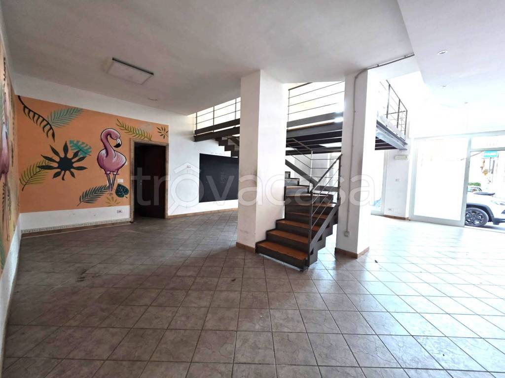 immagine annuncio 9 di 12