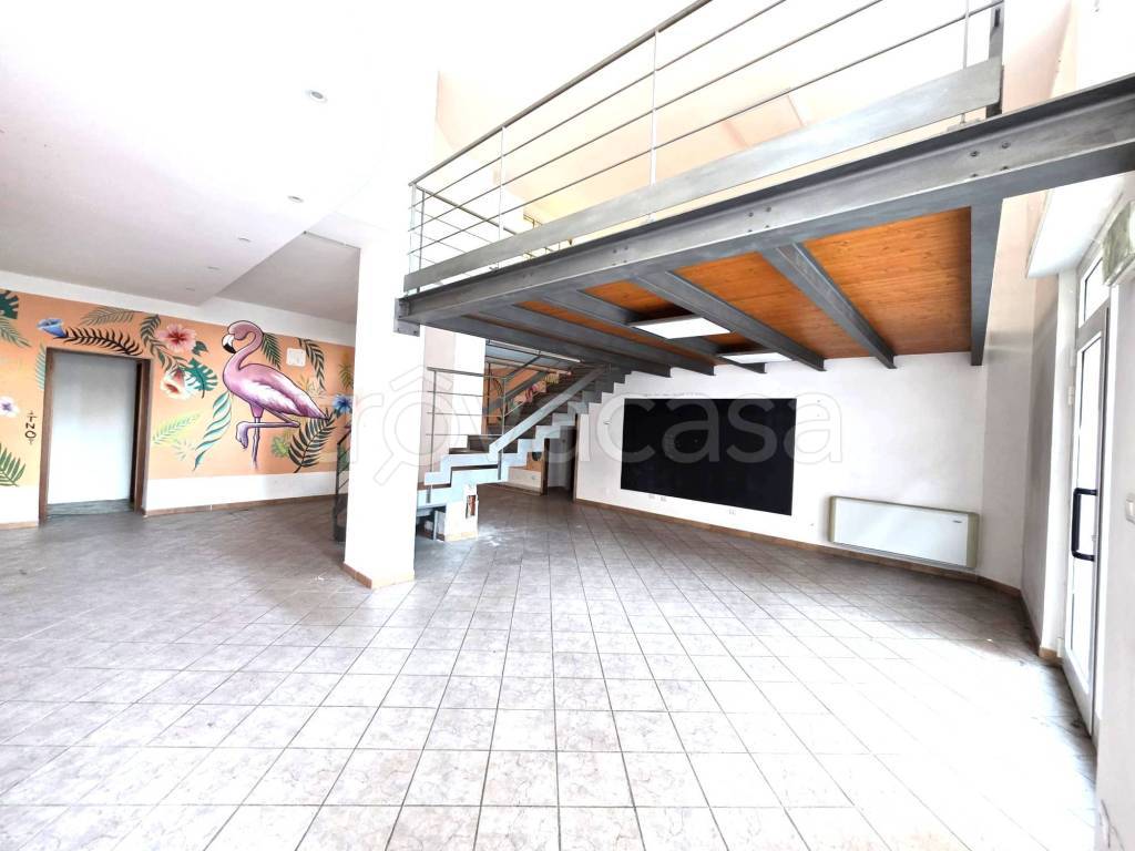 immagine annuncio 10 di 12