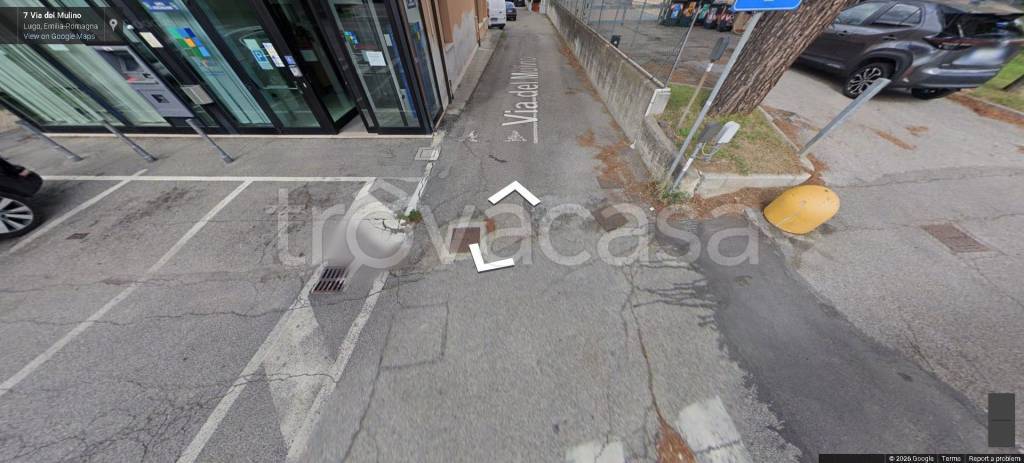 immagine annuncio 5 di 11