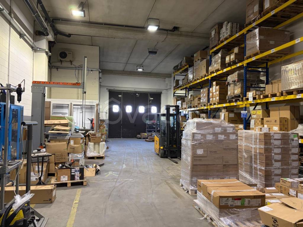 immagine annuncio 6 di 14