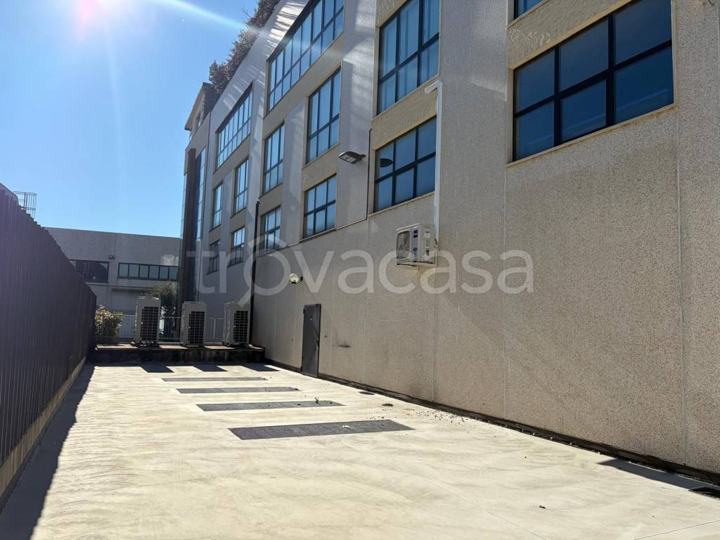 immagine annuncio 2 di 14