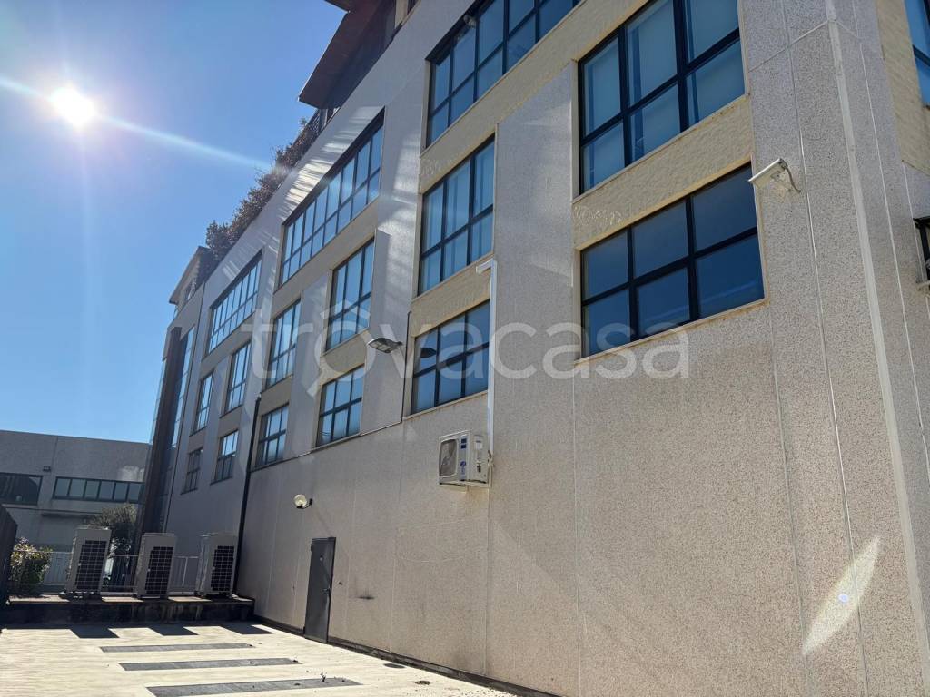 immagine annuncio 3 di 14