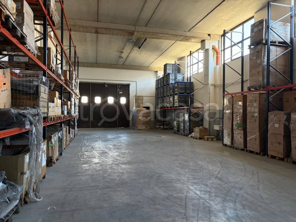 immagine annuncio 11 di 14