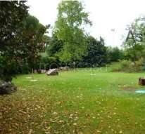 immagine annuncio 2 di 11