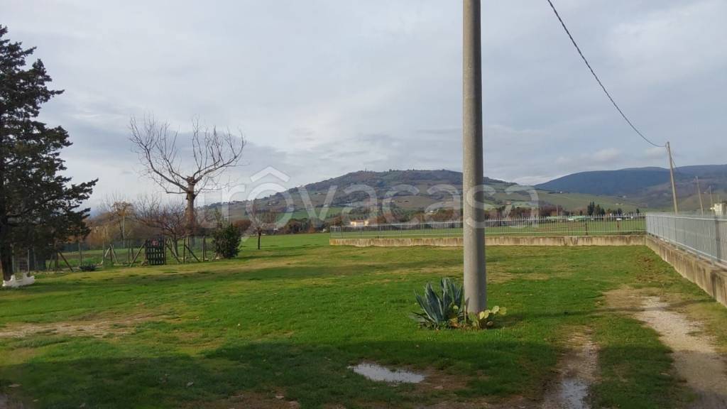 immagine annuncio 6 di 9