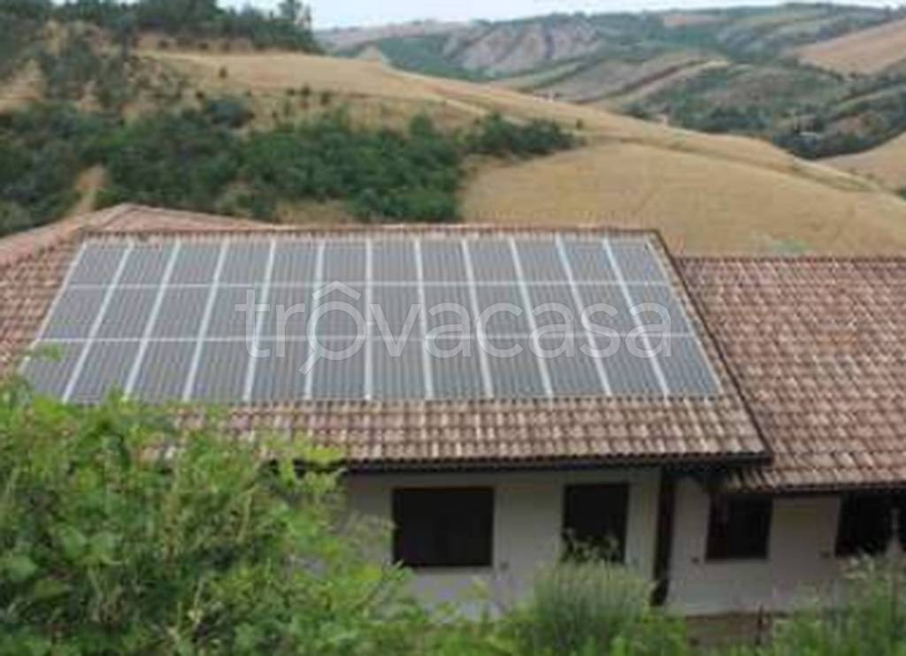 immagine annuncio 4 di 12