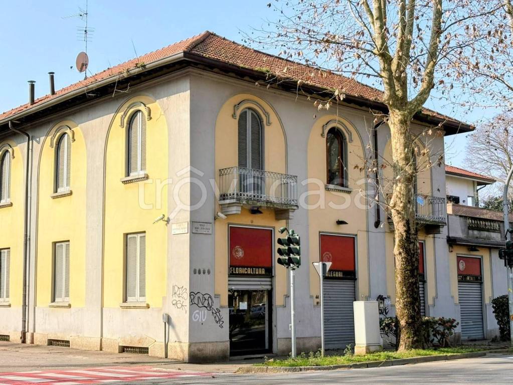 immagine annuncio 9 di 15