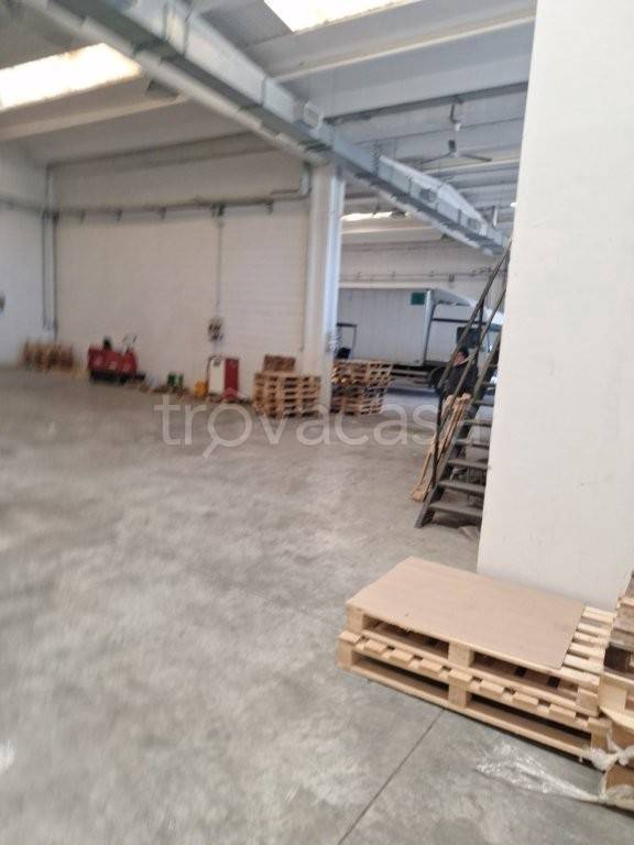 immagine annuncio 2 di 12