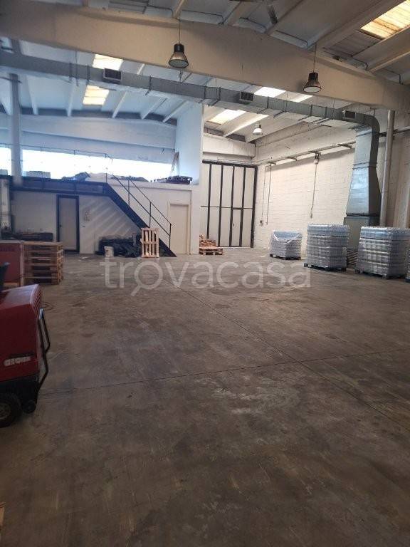 immagine annuncio 3 di 12