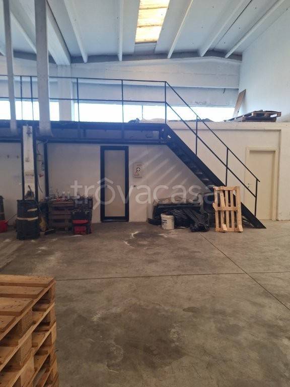 immagine annuncio 4 di 12