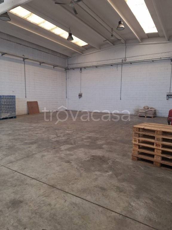 immagine annuncio 5 di 12