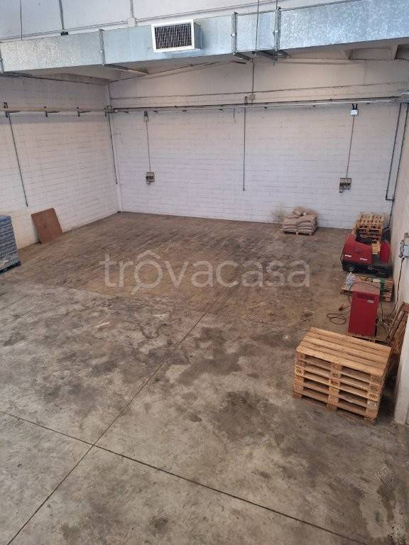 immagine annuncio 9 di 12