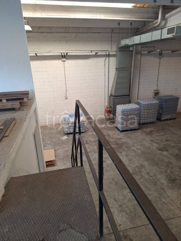 immagine annuncio 10 di 12