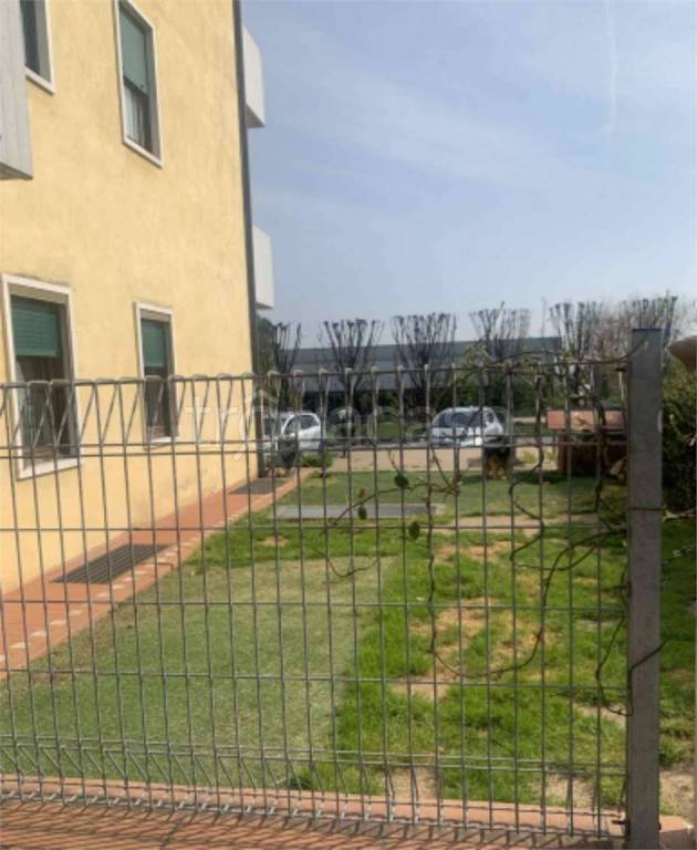 immagine annuncio 6 di 13