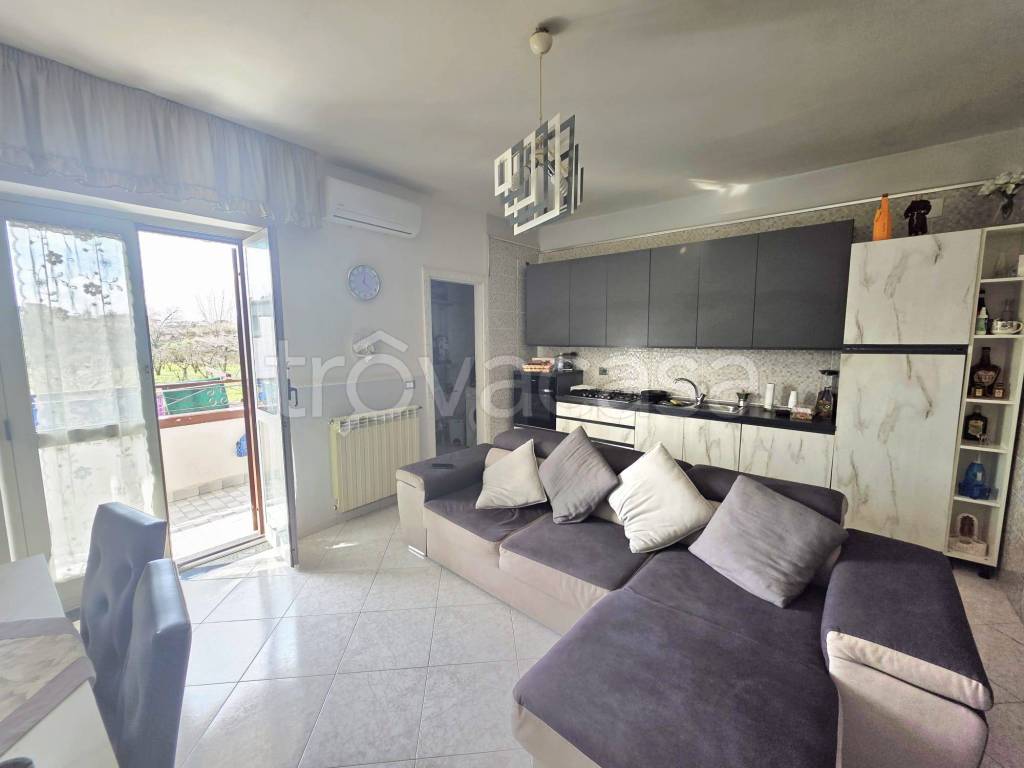 immagine annuncio 4 di 12