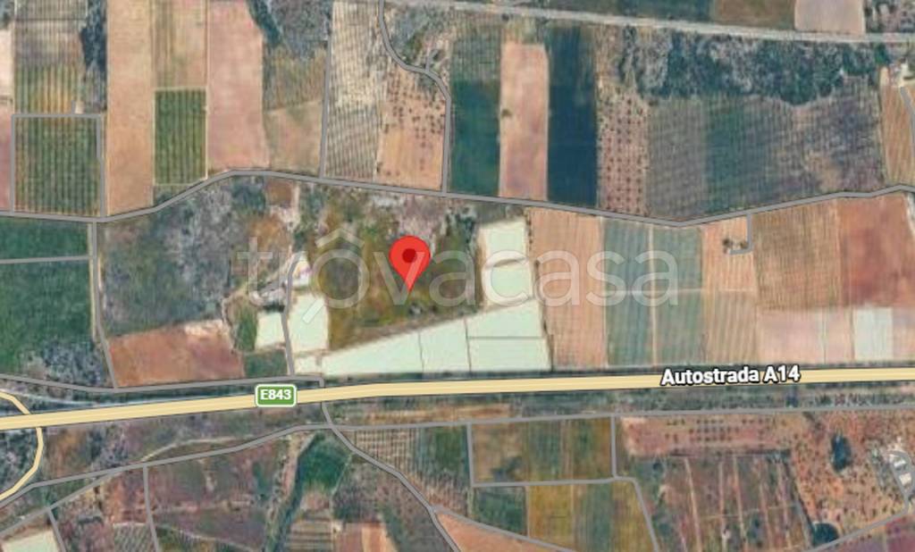 immagine annuncio 2 di 12