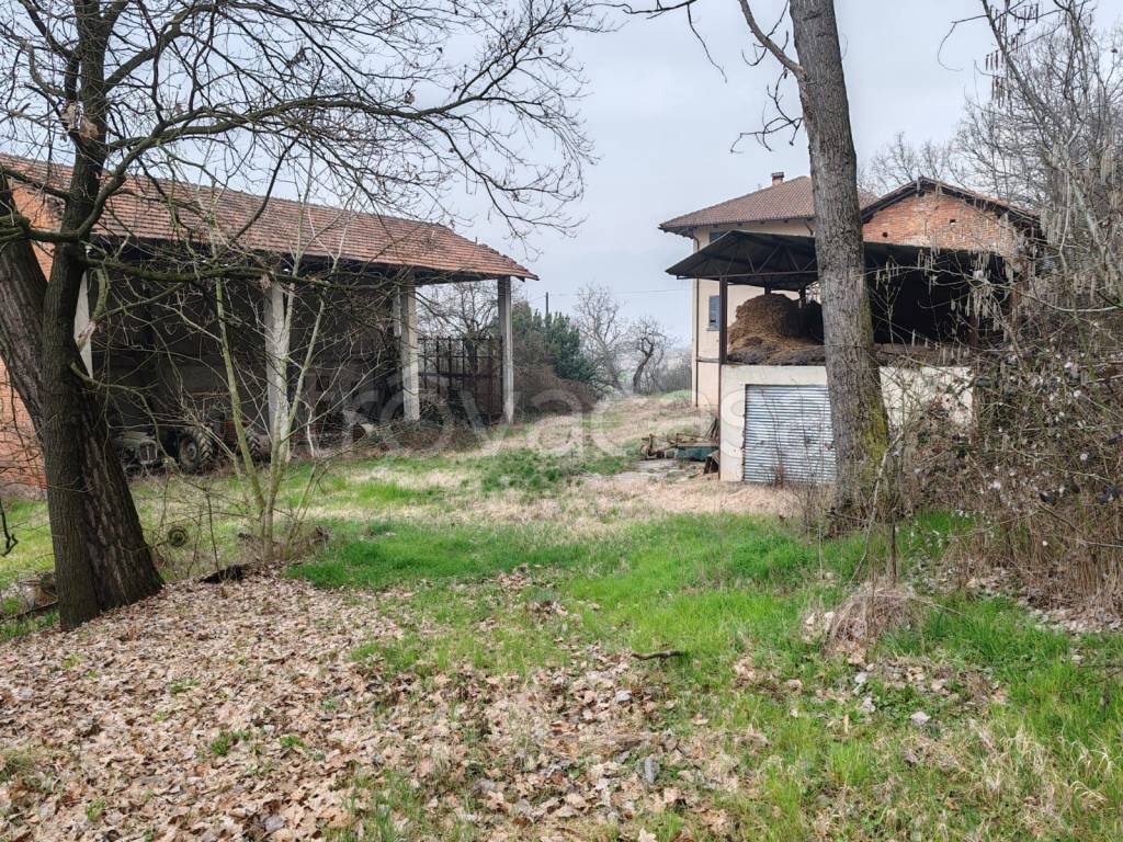 immagine annuncio 8 di 15