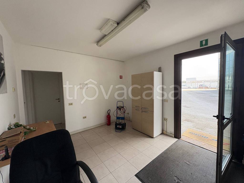 immagine annuncio 4 di 14