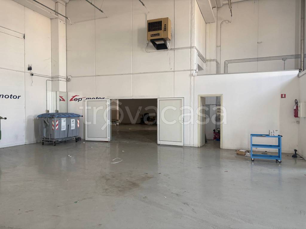 immagine annuncio 6 di 14