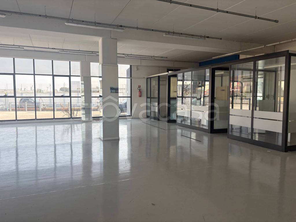 immagine annuncio 7 di 14