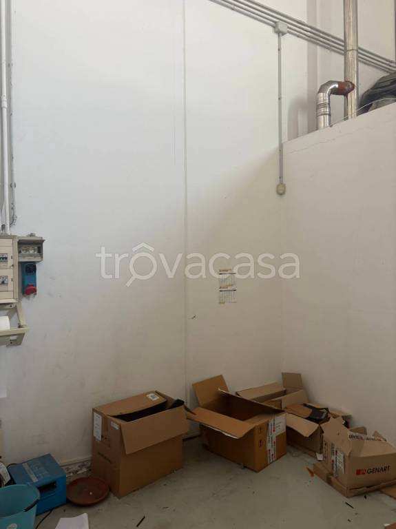 immagine annuncio 10 di 14