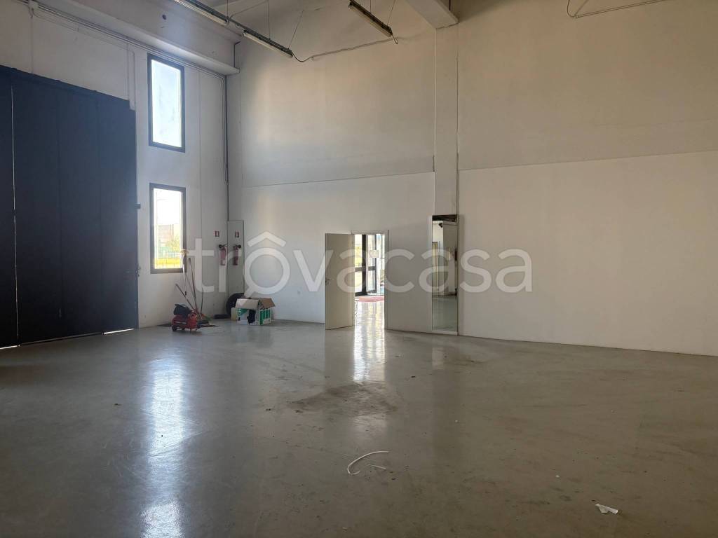 immagine annuncio 11 di 14