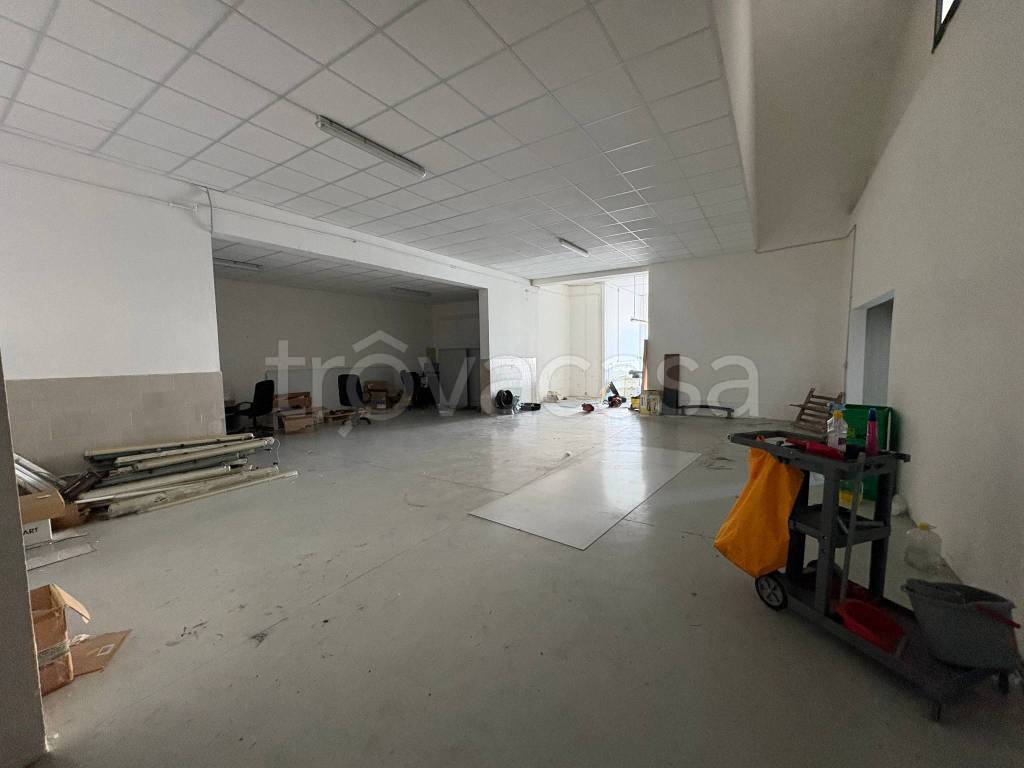 immagine annuncio 12 di 14